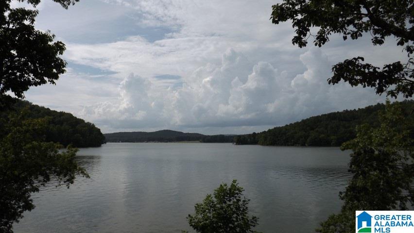 155 Lock 1 Road Ashville, AL 35953 - Photo 13 of 50