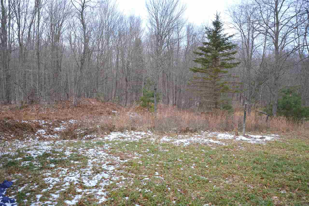 7237 Cunningham Road Northeast Mancelona, MI 49659 - Photo 4 of 23 1882856-3.JPG