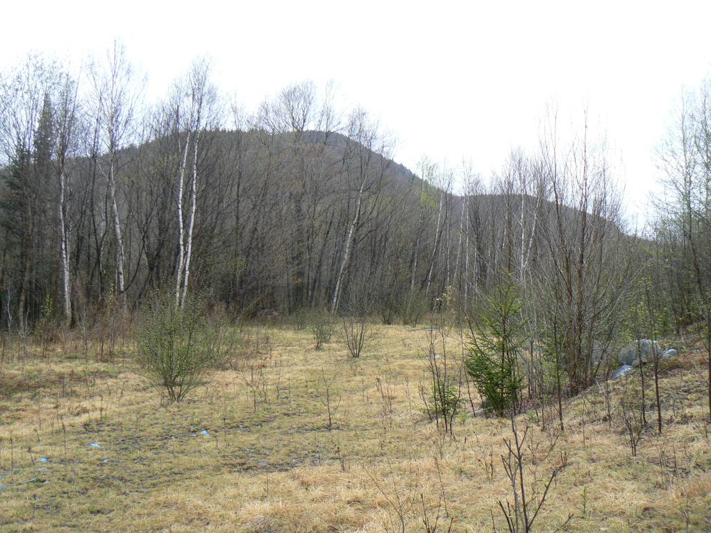 0 Granby Road Guildhall, VT 05905 - Photo 4 of 4