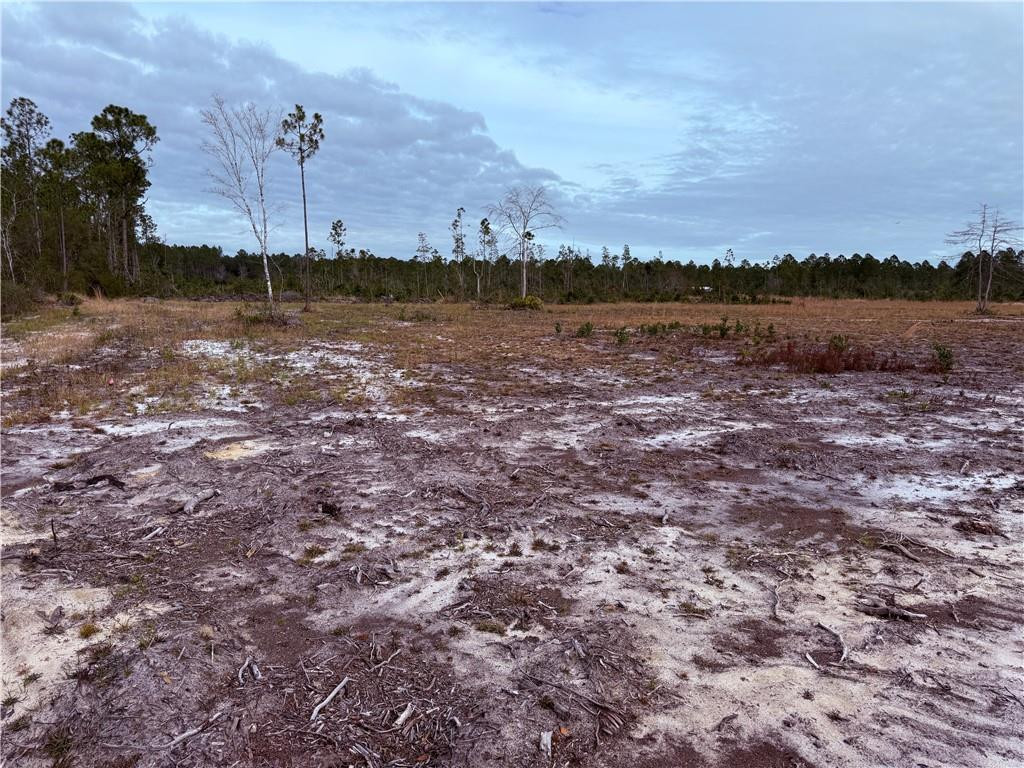 Lot 10 Wiregrass Lane, Unit 10 Waycross, GA 31503 - Photo 1 of 6 Photo 1