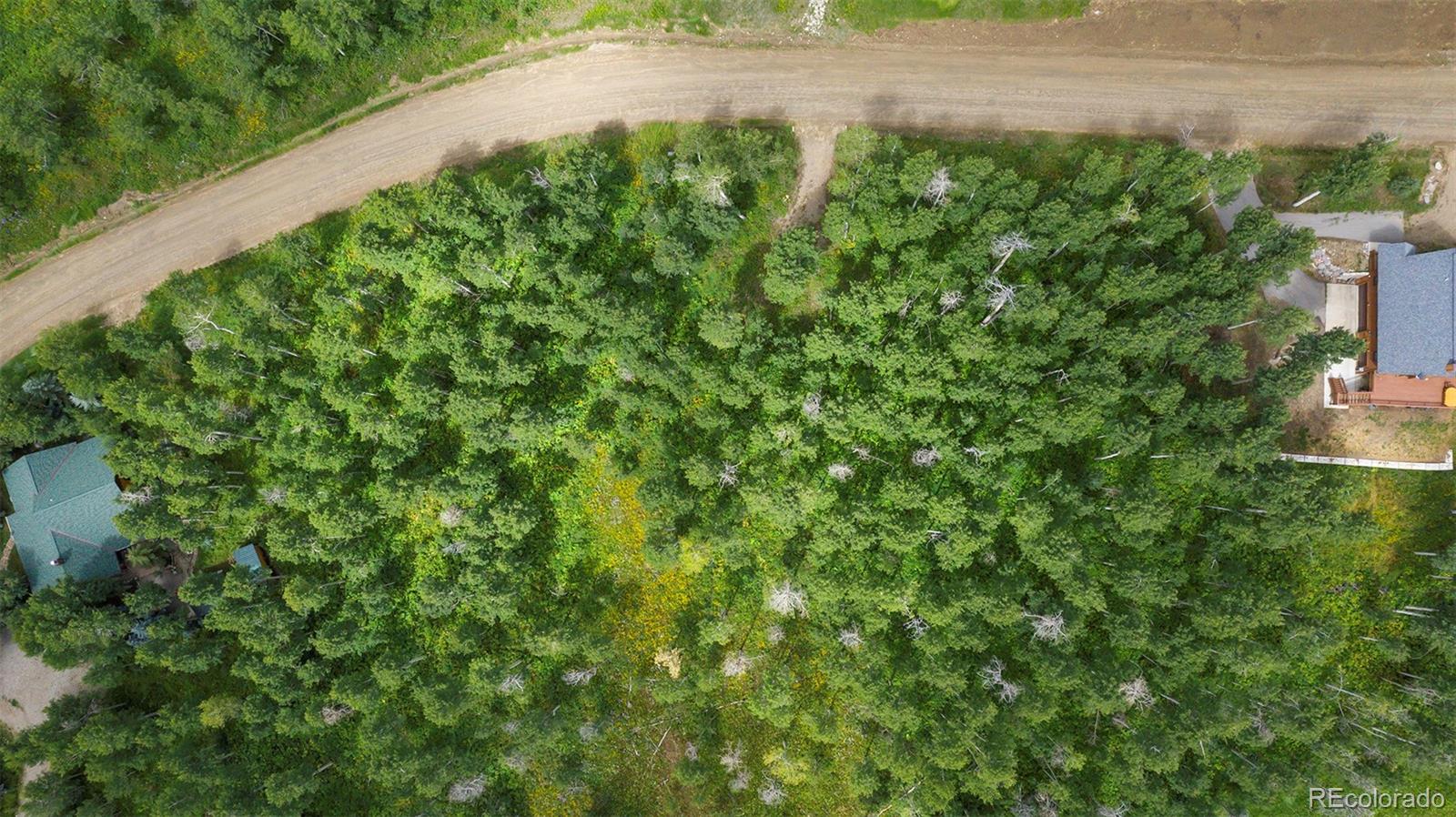 57730 Longfellow Way Clark, CO 80428 - Photo 3 of 9 a view of a garden