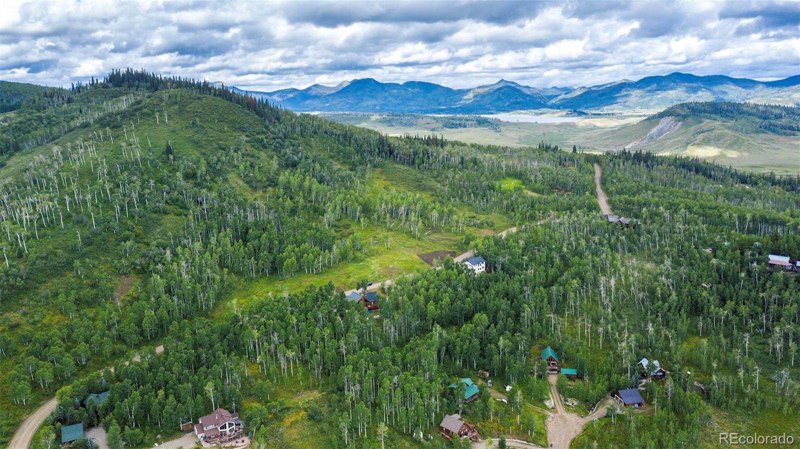 57730 Longfellow Way Clark, CO 80428 - Photo 6 of 9 a view of a lush green forest with lots of tall trees