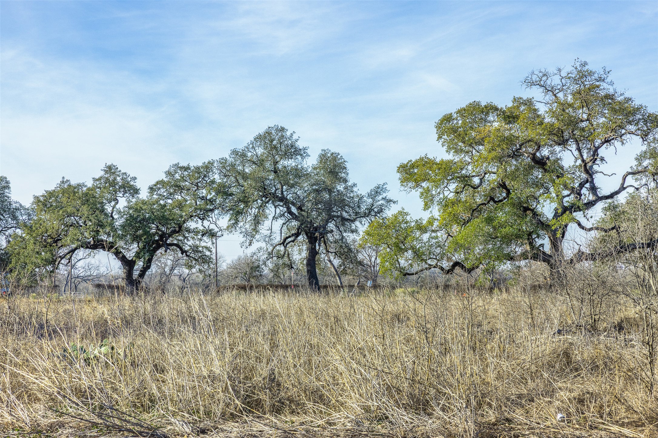600 Northwest River Road Martindale, TX 78655 - Photo 8 of 28 a backyard of a house with lots of green space