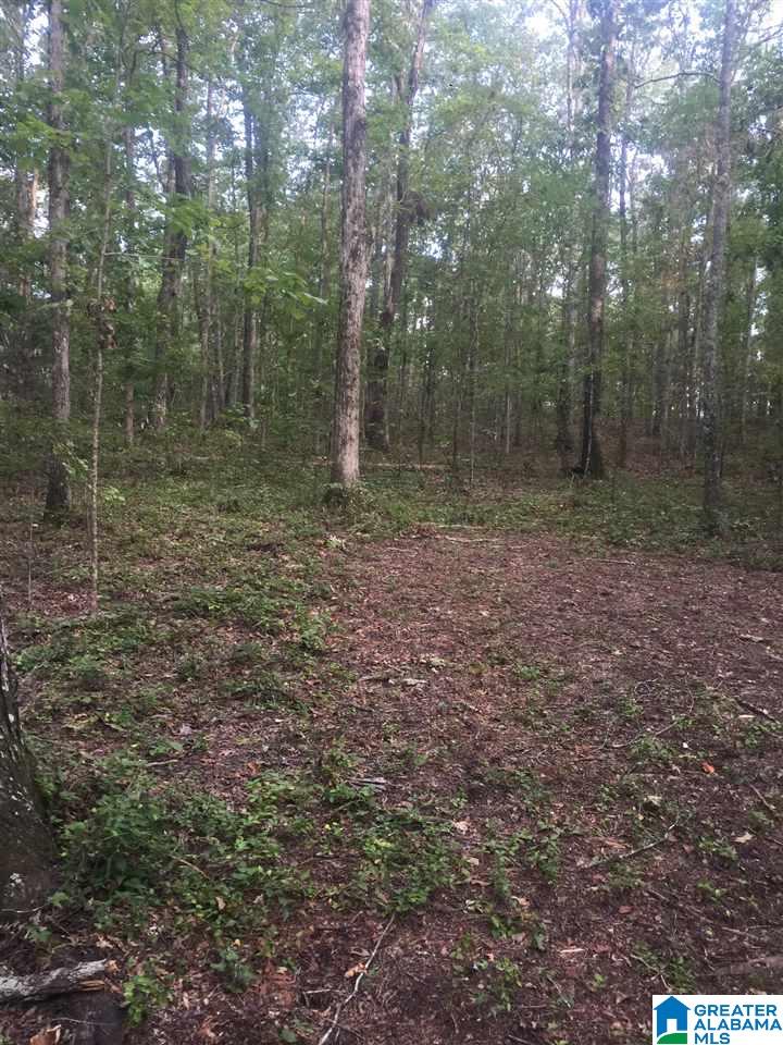241 Sulphur Springs Road, Unit 9 89 ACRES Lincoln, AL 35096 - Photo 24 of 44