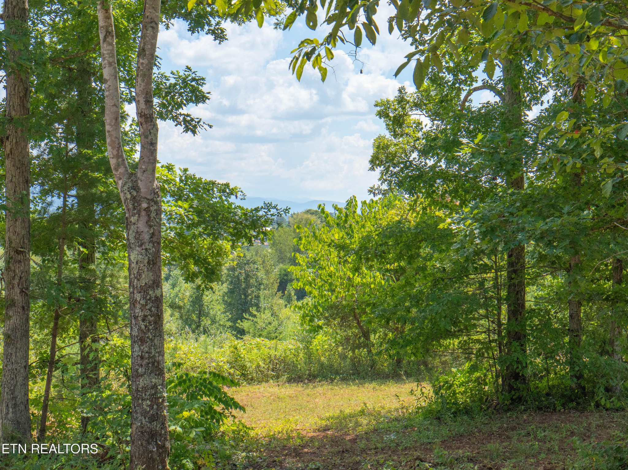 0 Hutton Ridge Road Maryville, TN 37801 - Photo 20 of 24 Gallery Image 20