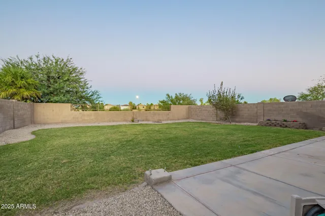 a view of a field with a tree in the background