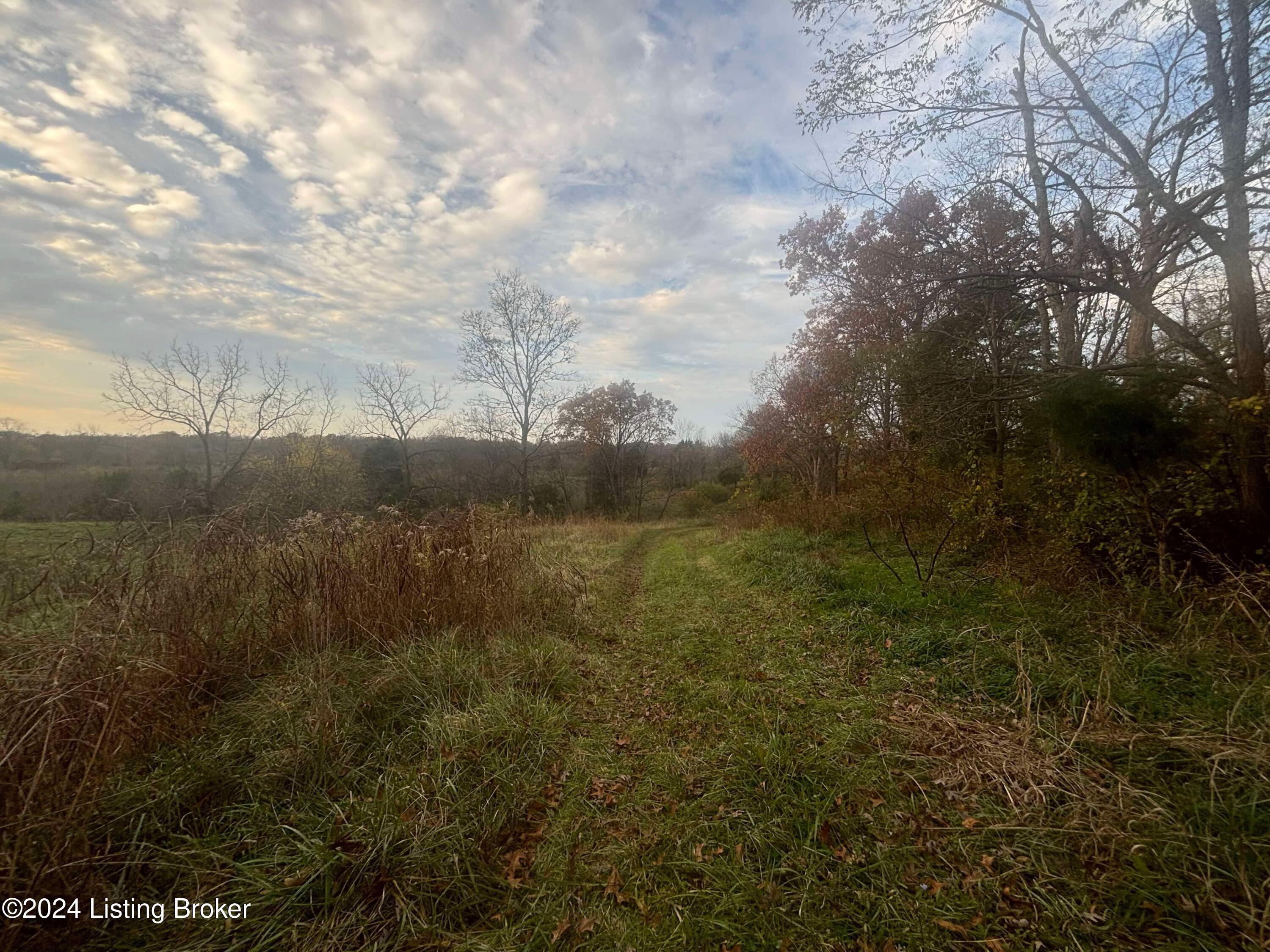 0 Fairground Road Bedford, KY 40006 - Photo 6 of 17 IMG_3354