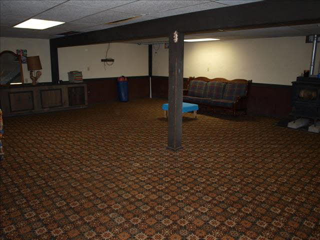 13972 Todd Road Petersburg, MI 49270 - Photo 11 of 16 Finished basement