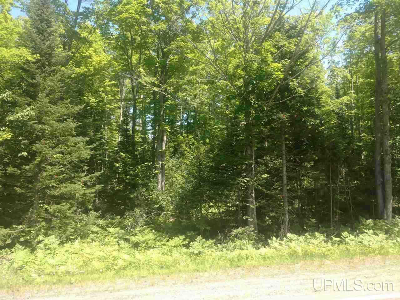 Tbd Karschney Road South Lanse, MI 49946 - Photo 4 of 11