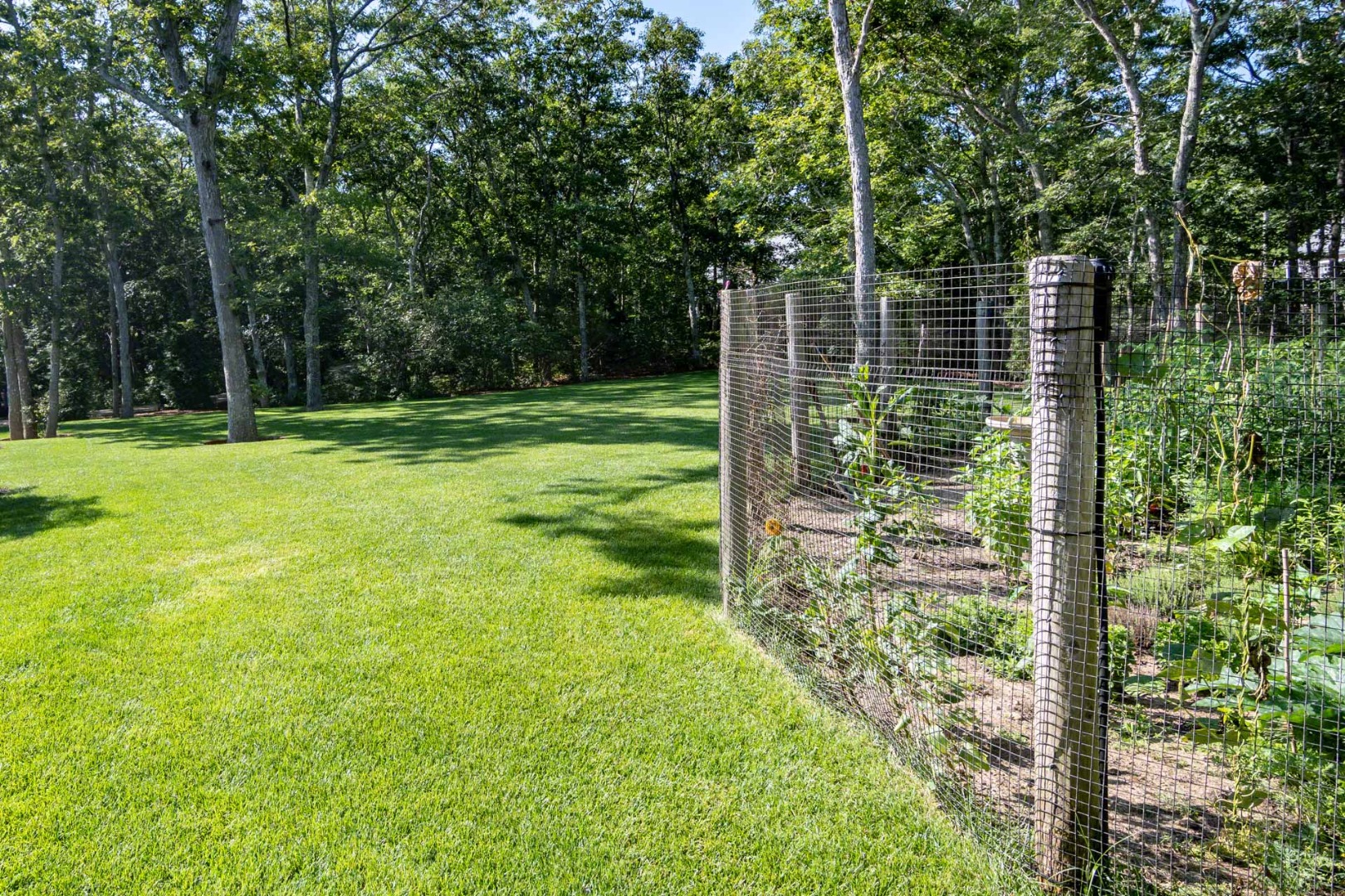 14 North Bog Road Edgartown, MA 02539 - Photo 42 of 46 a view of a yard with a house