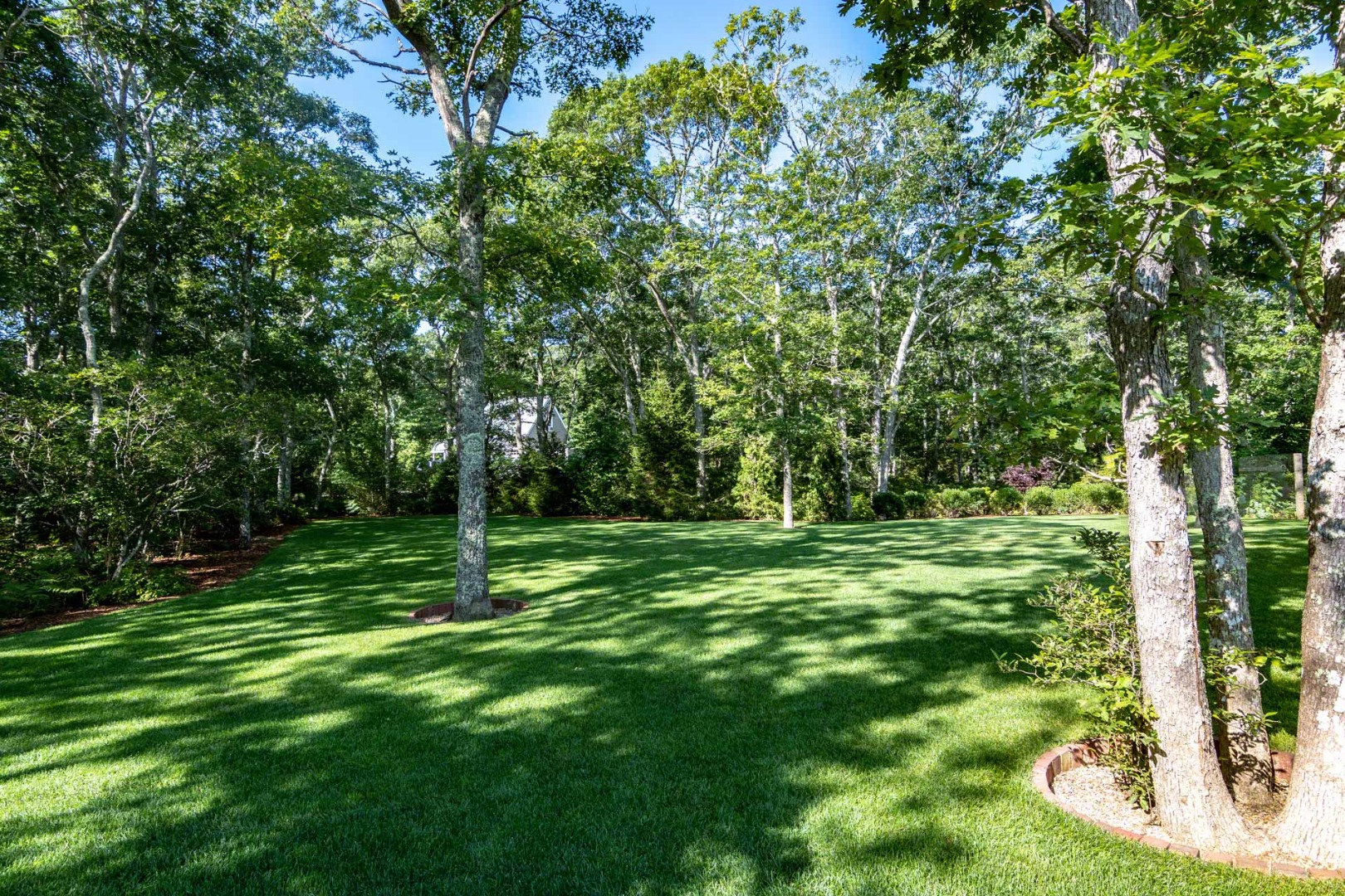 14 North Bog Road Edgartown, MA 02539 - Photo 43 of 46 a view of a trees with a yard