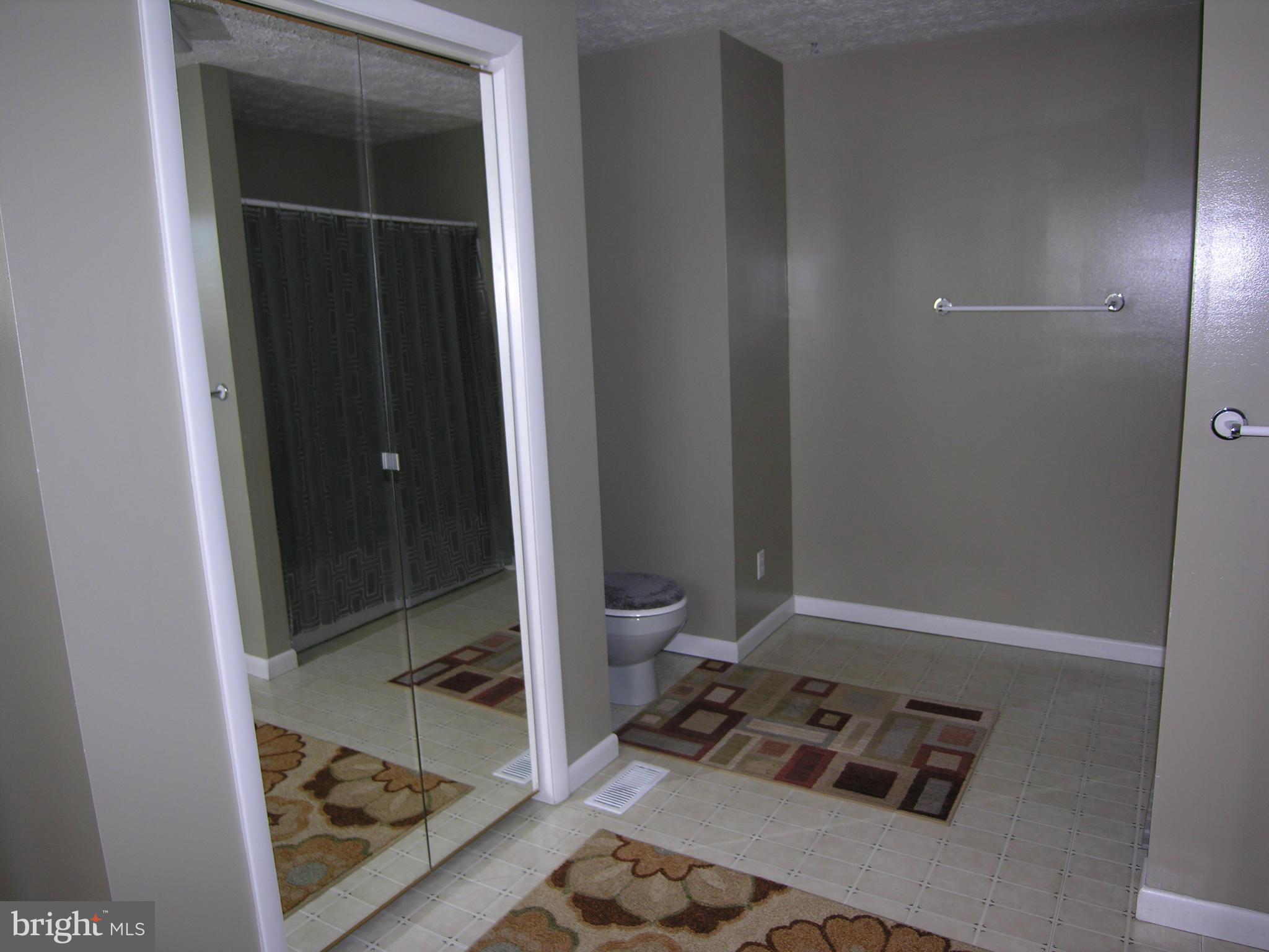 216 Poorhouse Road Winchester, VA 22603 - Photo 14 of 30 Bath (Master)