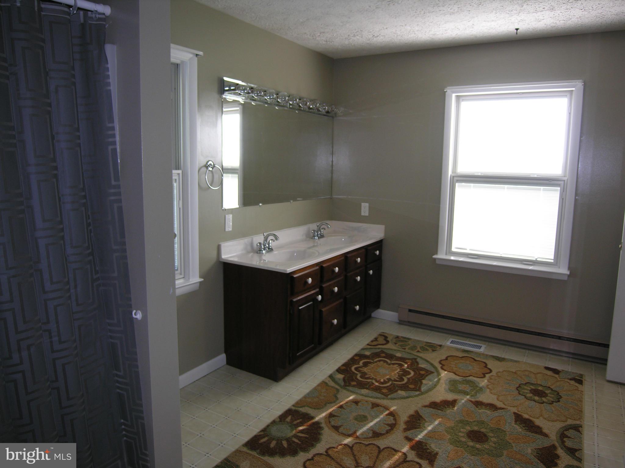 216 Poorhouse Road Winchester, VA 22603 - Photo 18 of 30 Bath (Master)