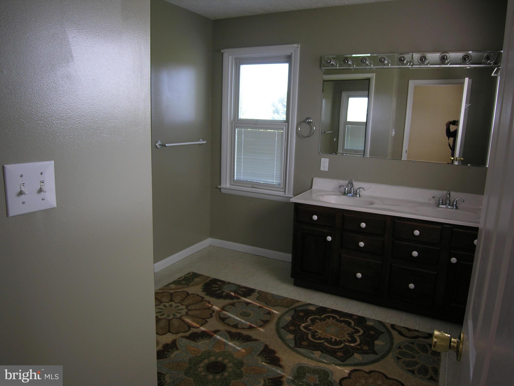 216 Poorhouse Road Winchester, VA 22603 - Photo 19 of 30 Bath (Master)