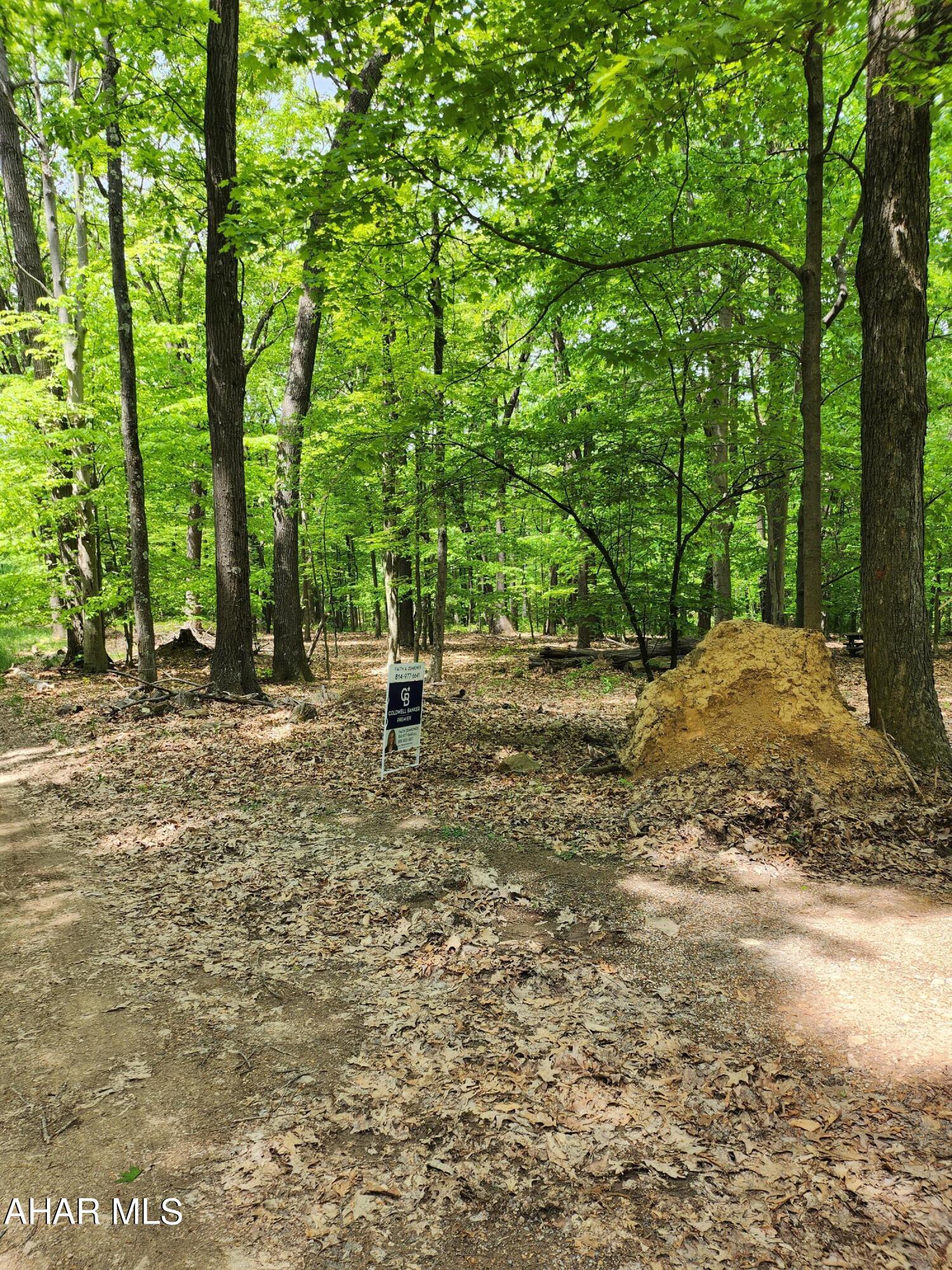 0 Mosquito Hollow Road Six Mile Run, PA 16679 - Photo 11 of 29