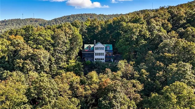 a view of a backyard with plants and a fire pit