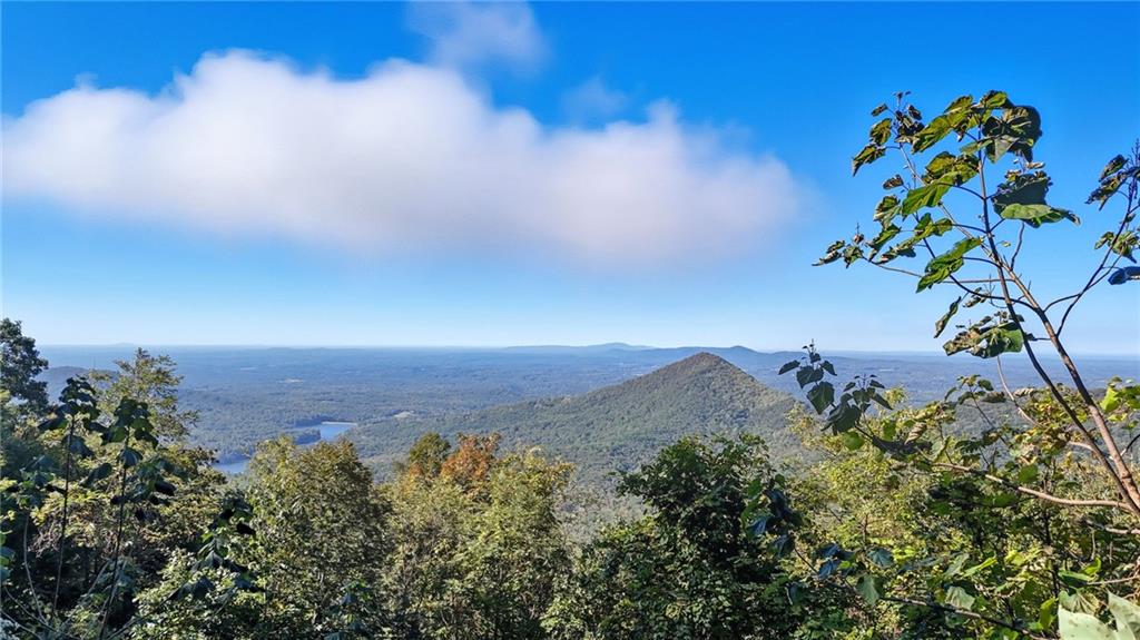 49 Rimrock Road Jasper, GA 30143 - Photo 58 of 61