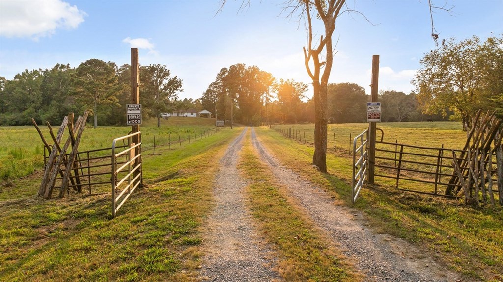 446 Brown Bridge Road Chatsworth, GA 30705 - Photo 11 of 77