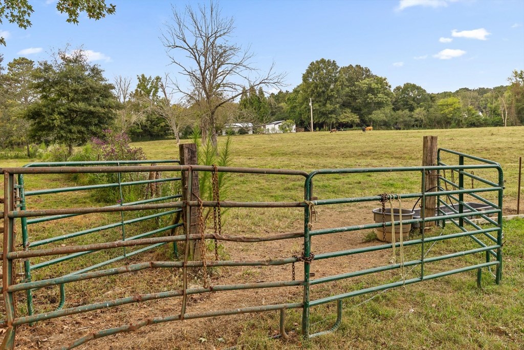 446 Brown Bridge Road Chatsworth, GA 30705 - Photo 14 of 77