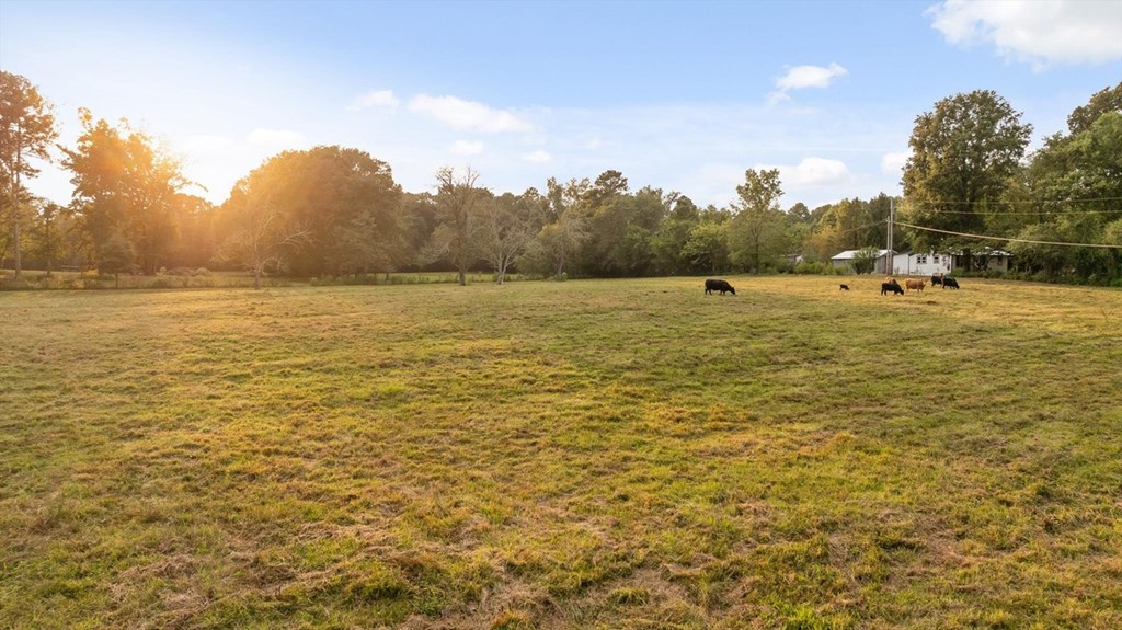 446 Brown Bridge Road Chatsworth, GA 30705 - Photo 15 of 77 a view of an ocean and beach