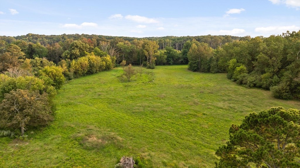 446 Brown Bridge Road Chatsworth, GA 30705 - Photo 19 of 77 a view of an ocean from a mountain