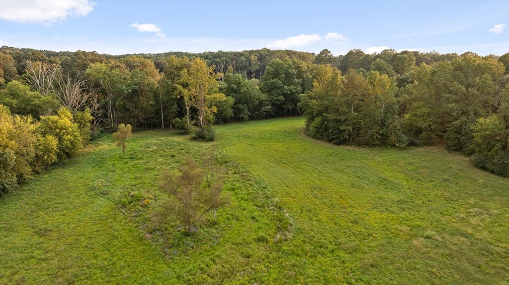 446 Brown Bridge Road Chatsworth, GA 30705 - Photo 20 of 77 a view of a lush green forest with trees and a houses