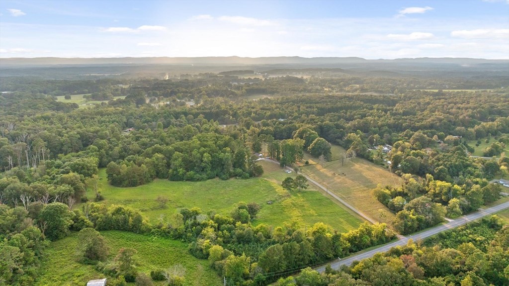 446 Brown Bridge Road Chatsworth, GA 30705 - Photo 2 of 77 a view of city and mountain