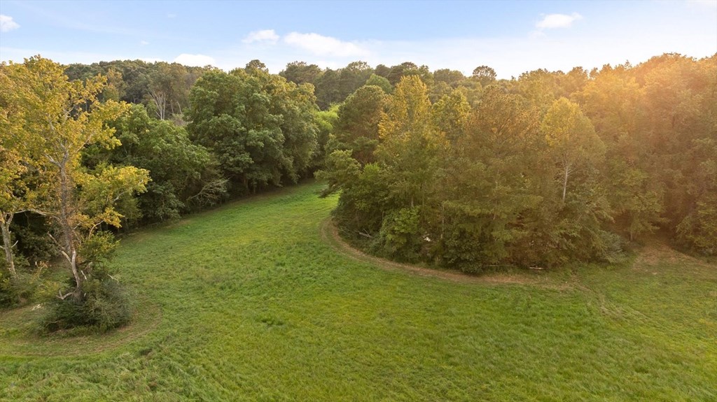 446 Brown Bridge Road Chatsworth, GA 30705 - Photo 21 of 77