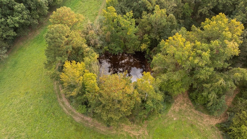 446 Brown Bridge Road Chatsworth, GA 30705 - Photo 22 of 77