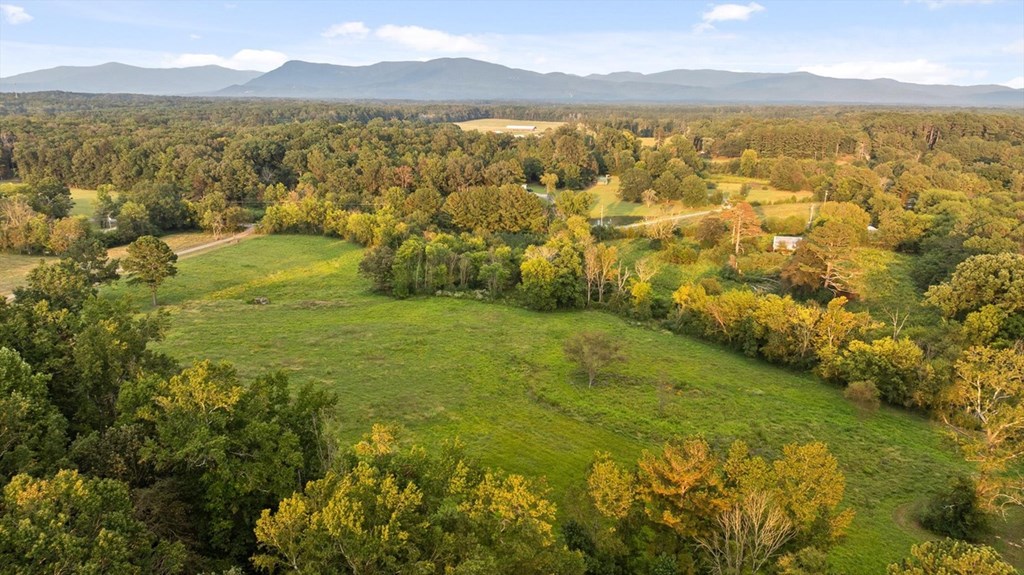 446 Brown Bridge Road Chatsworth, GA 30705 - Photo 23 of 77 a view of an ocean from a mountain