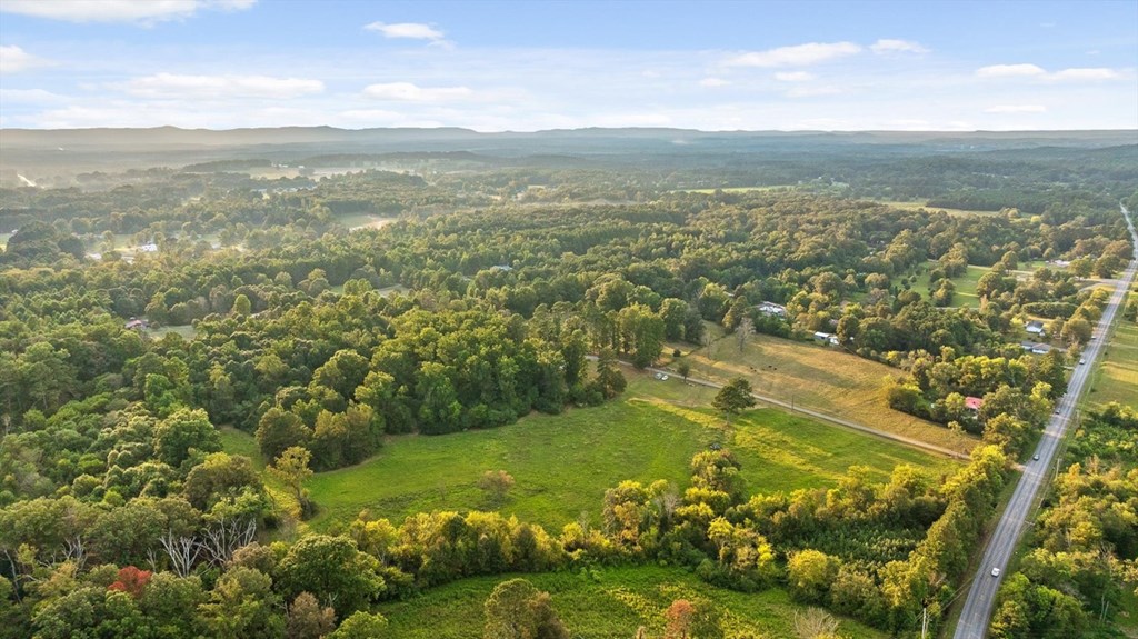 446 Brown Bridge Road Chatsworth, GA 30705 - Photo 3 of 77 a view of city with ocean