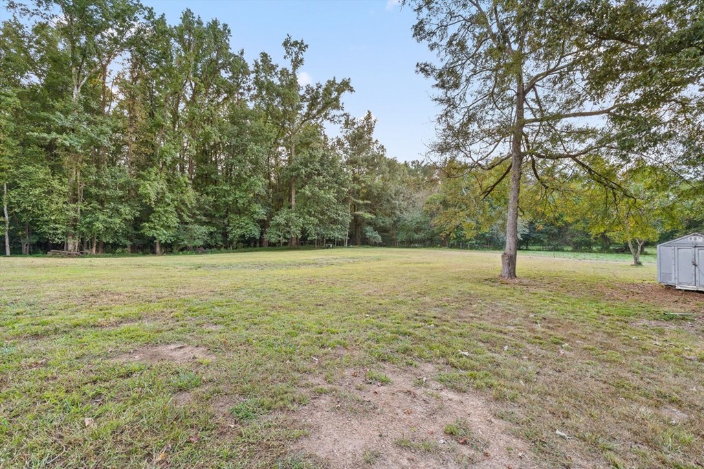 446 Brown Bridge Road Chatsworth, GA 30705 - Photo 33 of 77 a view of a field with trees in the background