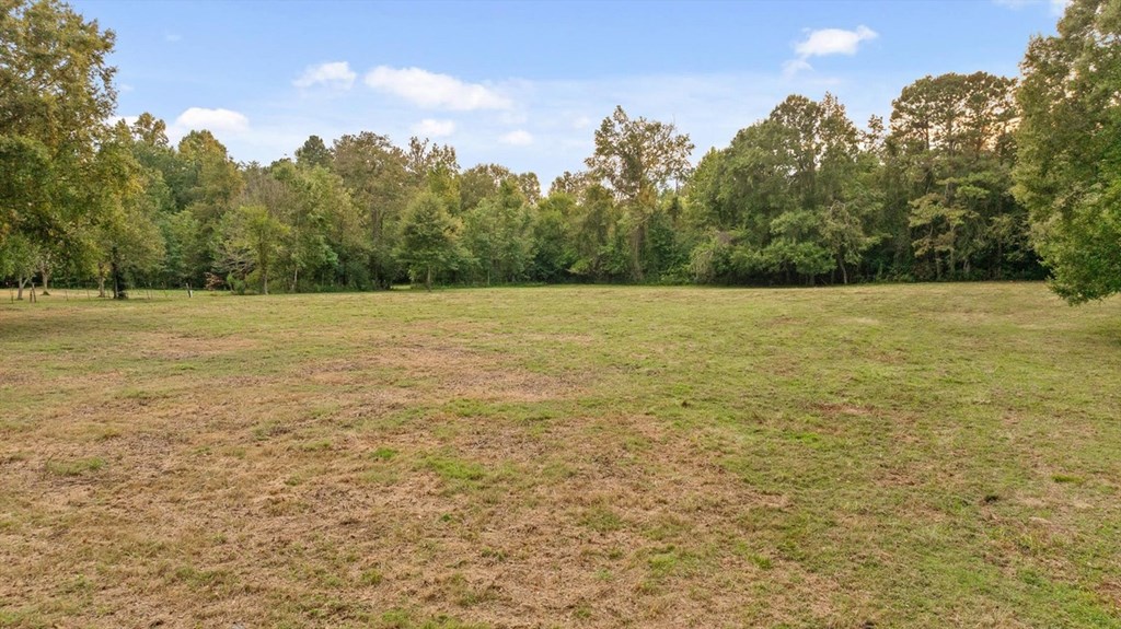 446 Brown Bridge Road Chatsworth, GA 30705 - Photo 34 of 77 a view of an ocean beach