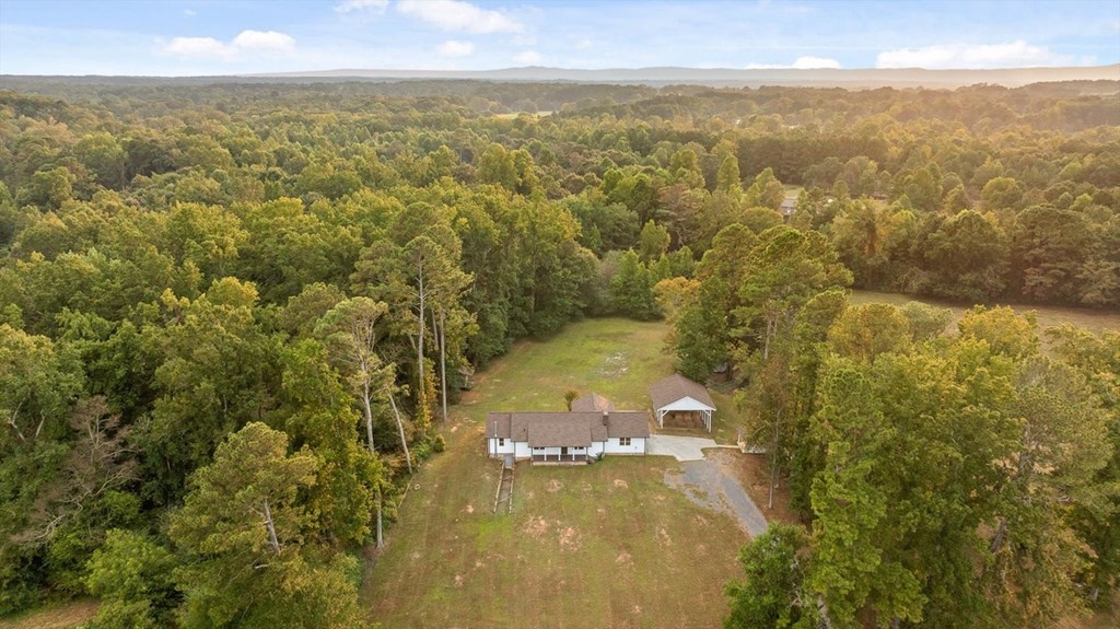 446 Brown Bridge Road Chatsworth, GA 30705 - Photo 36 of 77 a view of city and ocean