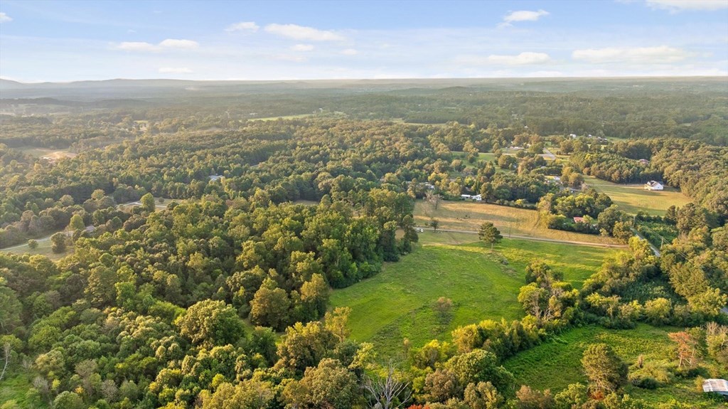 446 Brown Bridge Road Chatsworth, GA 30705 - Photo 4 of 77