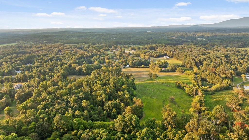 446 Brown Bridge Road Chatsworth, GA 30705 - Photo 5 of 77