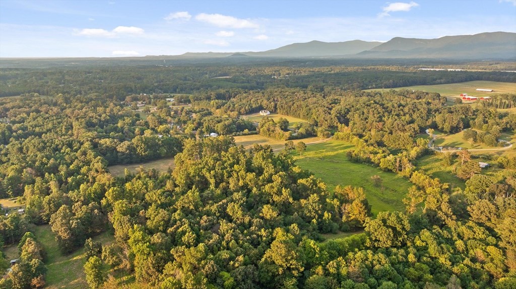 446 Brown Bridge Road Chatsworth, GA 30705 - Photo 6 of 77 a view of lake and mountain