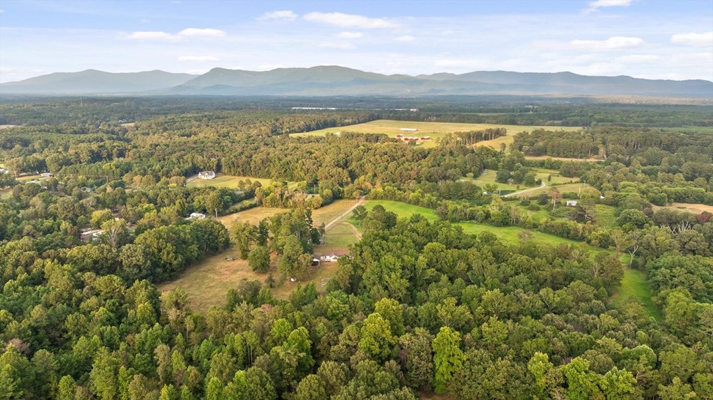 446 Brown Bridge Road Chatsworth, GA 30705 - Photo 7 of 77