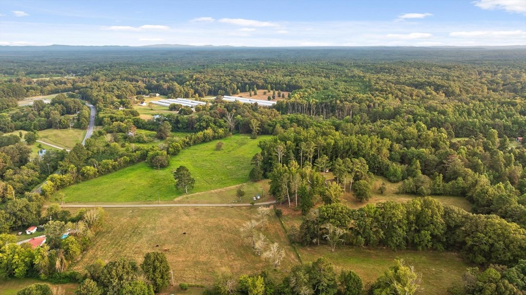 446 Brown Bridge Road Chatsworth, GA 30705 - Photo 10 of 77