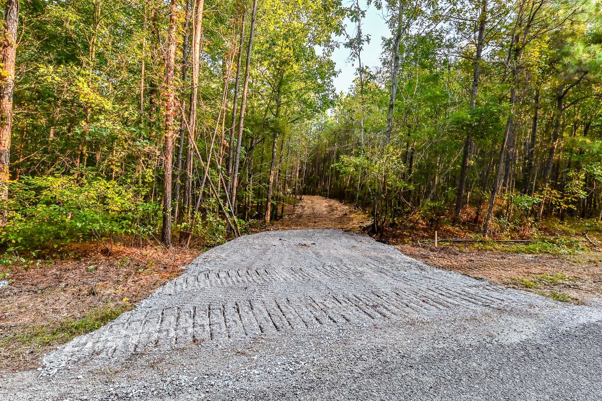 0 Brush Creek Road Hohenwald, TN 38462 - Photo 2 of 6 a view of a backyard of the house