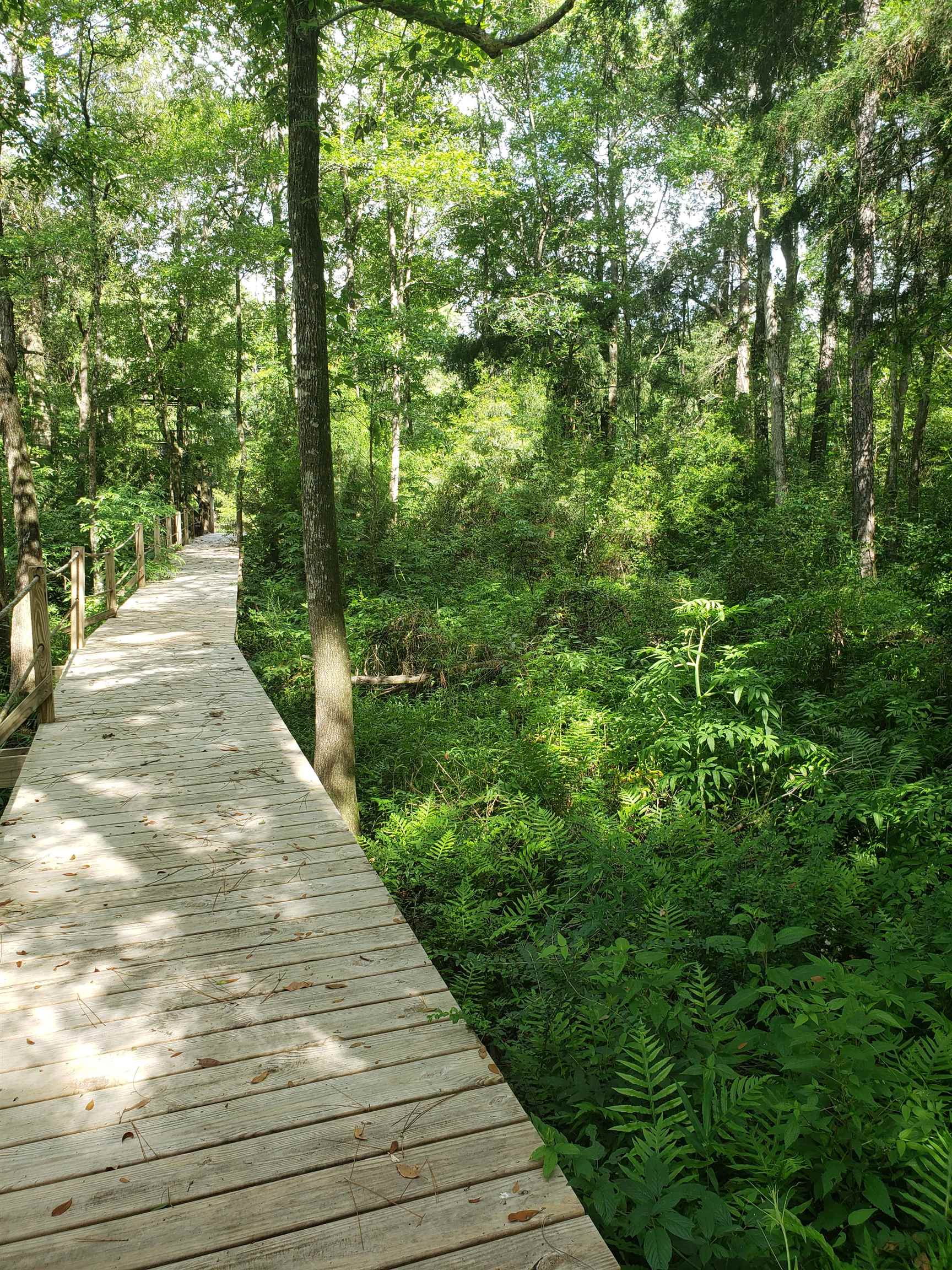 17663 River Road Summerdale, AL 36580 - Photo 27 of 39