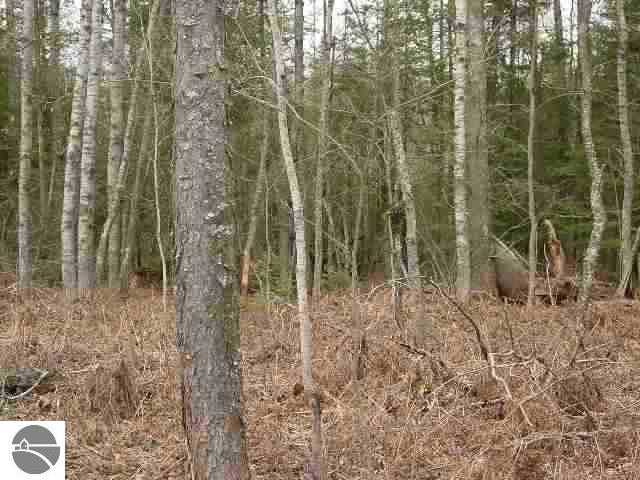 27 Blue Springs Road Merritt, MI 49667 - Photo 1 of 2 1713186.JPG