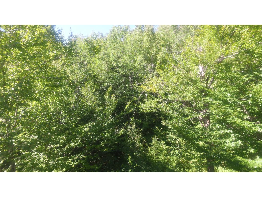 69 Breezy Point Road Warren, NH 03279 - Photo 5 of 13 Gallery Image 5