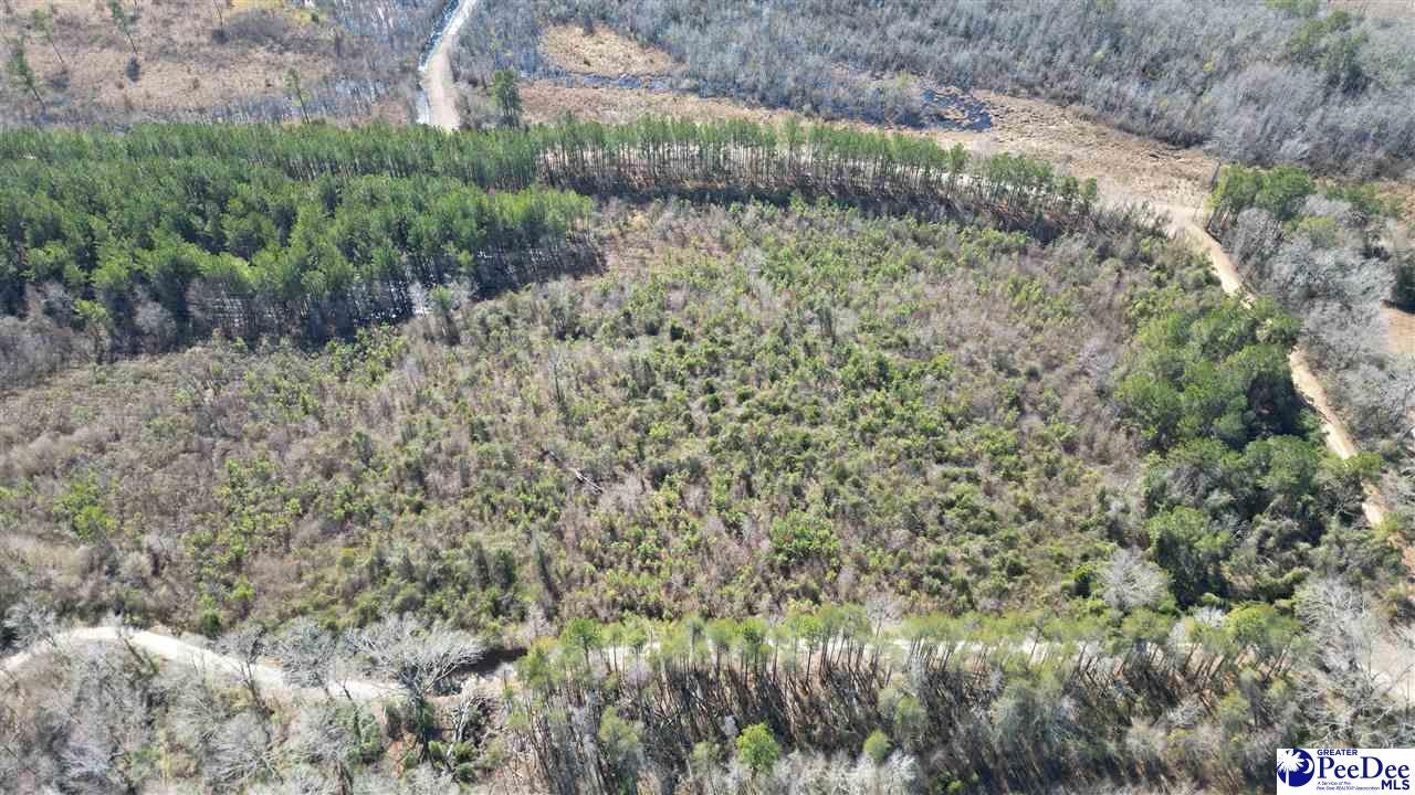 Tbd Peacock Road Marion, SC 29571 - Photo 21 of 55 Gallery Image 21