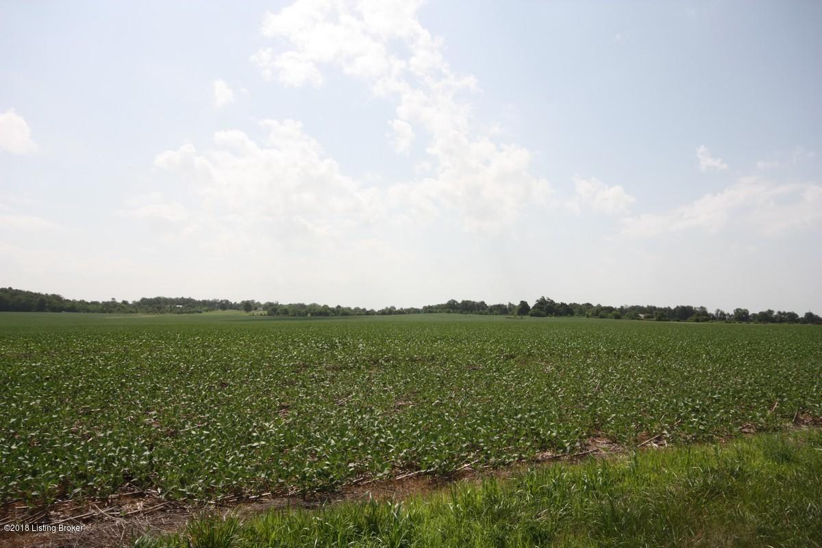 4900 Long Grove Road Sonora, KY 42776 - Photo 3 of 7 Long Grove Rd Auction15