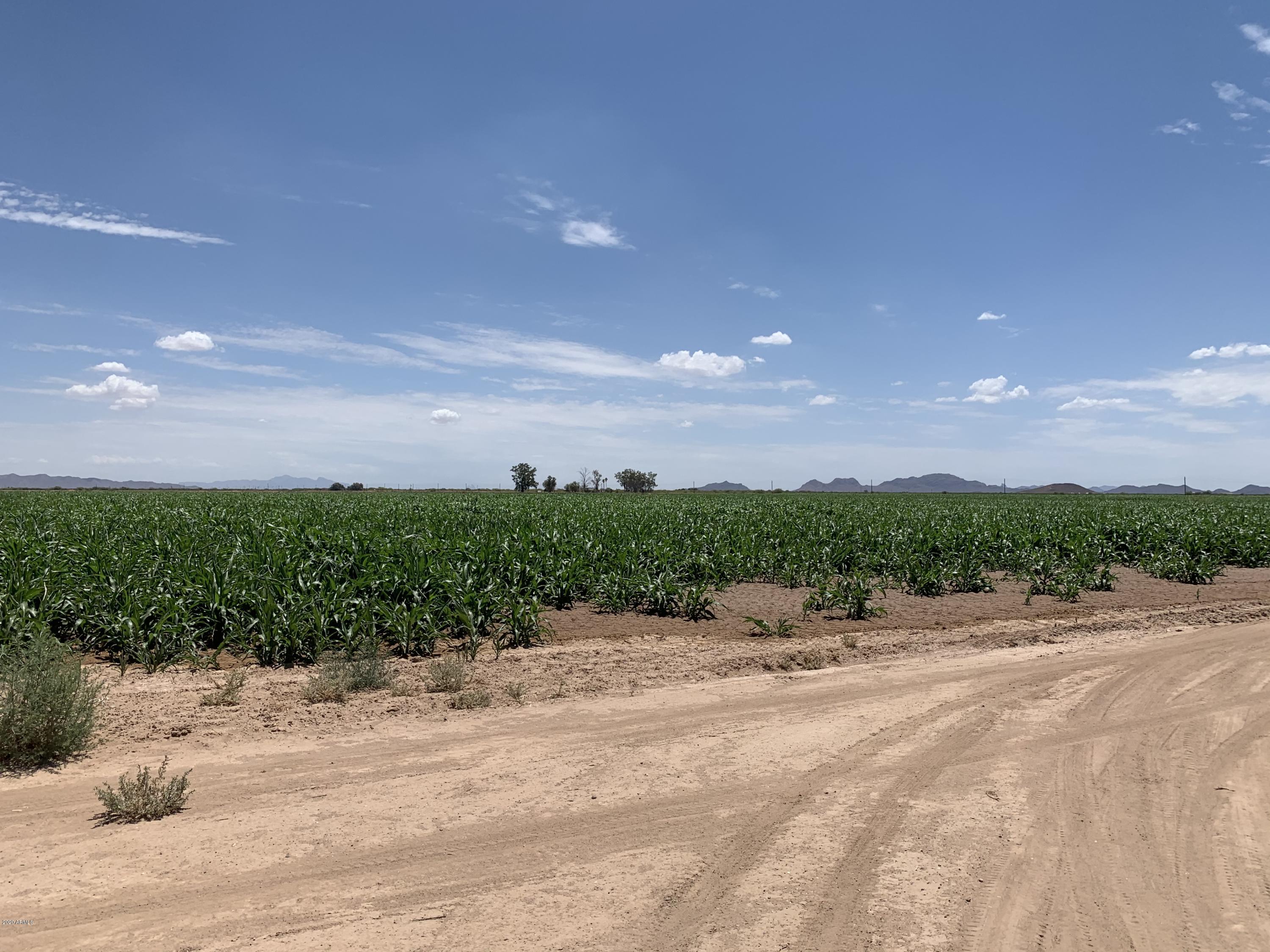 0 West Arica Road Casa Grande, AZ 85193 - Photo 4 of 16 Two Parcels Available!