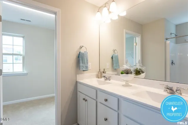 a bathroom with a sink vanity and a mirror
