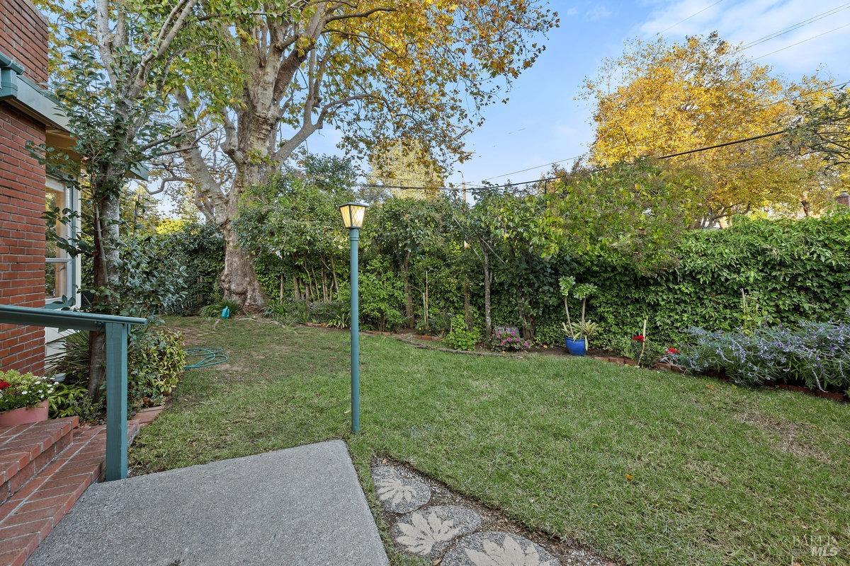 29 Locust Avenue Mill Valley, CA 94941 - Photo 16 of 26 a view of a backyard with large trees