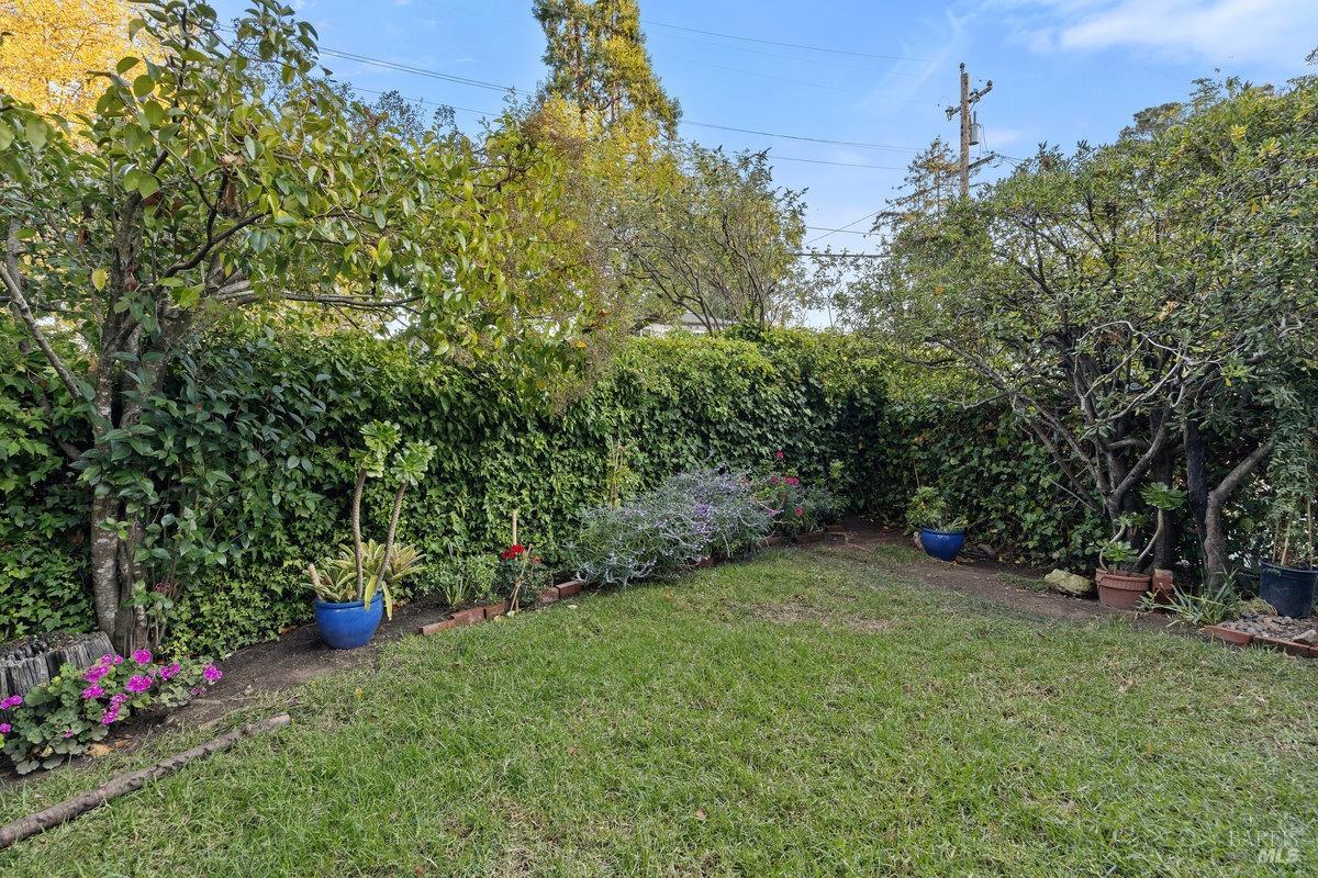 29 Locust Avenue Mill Valley, CA 94941 - Photo 19 of 26 a view of a garden