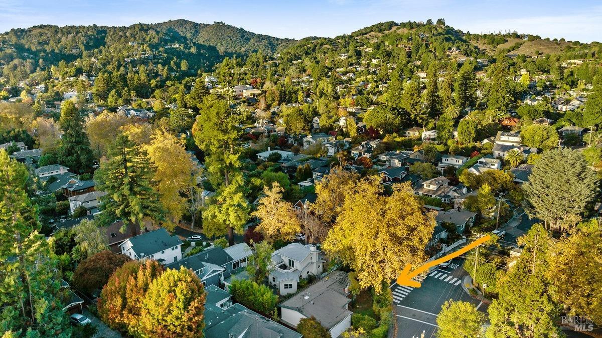 29 Locust Avenue Mill Valley, CA 94941 - Photo 26 of 26 a view of a bunch of flowers and trees
